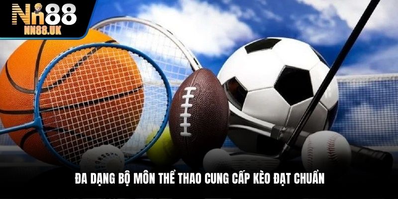 Đa dạng bộ môn cung cấp kèo trong sảnh thể thao Saba
